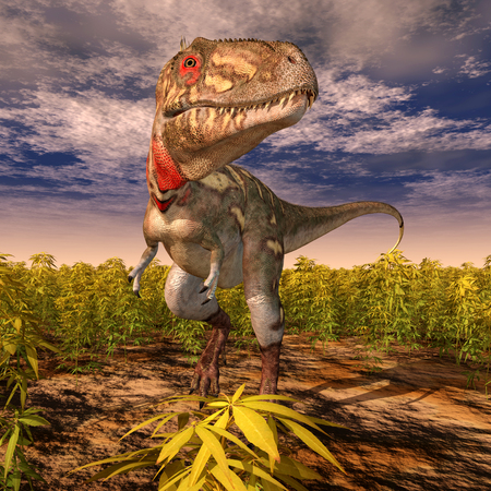Dinosaur Nanotyrannusの写真素材
