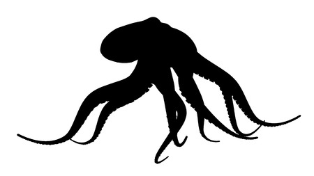 Silhouette of an octopusの写真素材