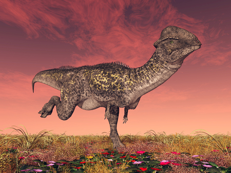 Dinosaur Stegocerasの写真素材