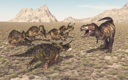 Tyrannosaurus Rex and Nasutoceratopsの写真素材
