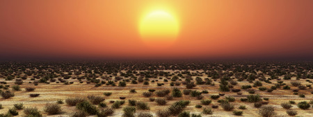 Sunset over the steppeの写真素材