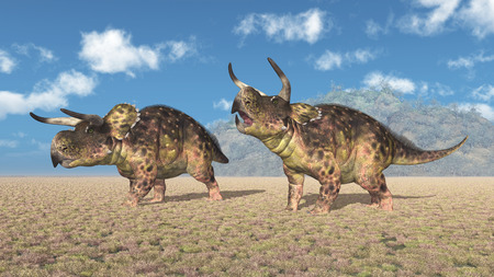 Dinosaur Nasutoceratops in a landscapeの写真素材