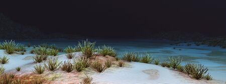 Underwater landscape with coralsの写真素材