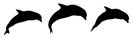 Silhouette of three jumping dolphinsの写真素材