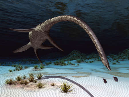 Plesiosaurus on the huntの写真素材
