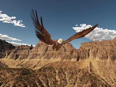 Sea eagle over a mountain landscapeの写真素材