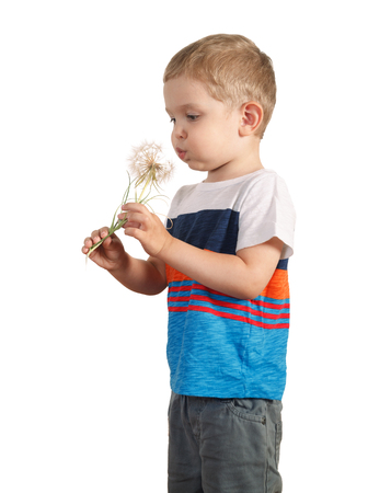 blond boy holding giant Dandelion. isolated on whiteの写真素材