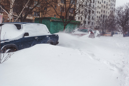 Parked cars covered in fresh snowの写真素材