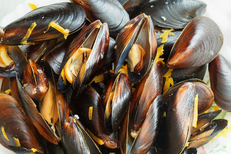 Steamed black sea mussels in cream sauce with carrotの写真素材