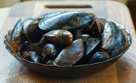 Fresh Black sea Mussels ready to cookの写真素材