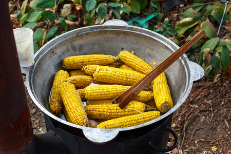 A lot of boiled corn in big cauldron. Street foodの写真素材