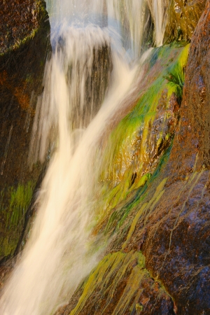 Waterfall with seaweedsの写真素材