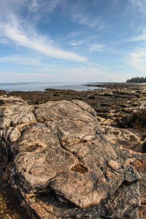 Maine coastline near Bass Harborの写真素材