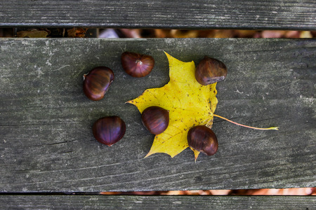 Chestnuts outside on wooden table with leafの写真素材