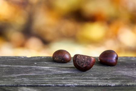 Chestnuts outside on wooden tableの写真素材