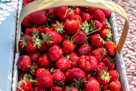 Basket with fresh strawberriesの写真素材