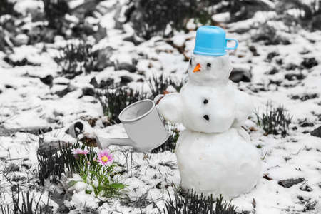 Snowman with flower waiting for springの写真素材