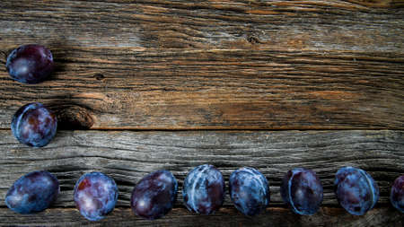 Italian plums table top on wooden backgroundの写真素材