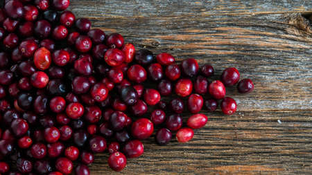 Cranberry background on rustic wooden background with text space