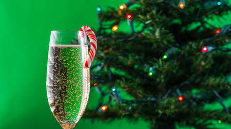 Glass with sparkling wine and peppermint candy and with christmas tree and green backgroundの写真素材