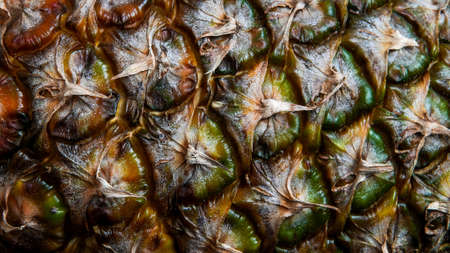 Abstract close up from pineapple skinの写真素材