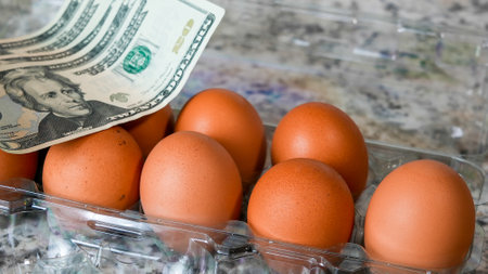 Brown eggs in plastic container with american paper moneyの写真素材