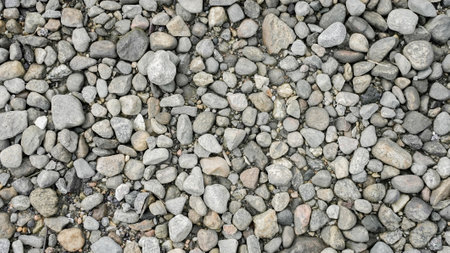 The ground is covered with a diverse assortment of smooth stones, varying in size and color, blending harmoniously in a natural settingの写真素材