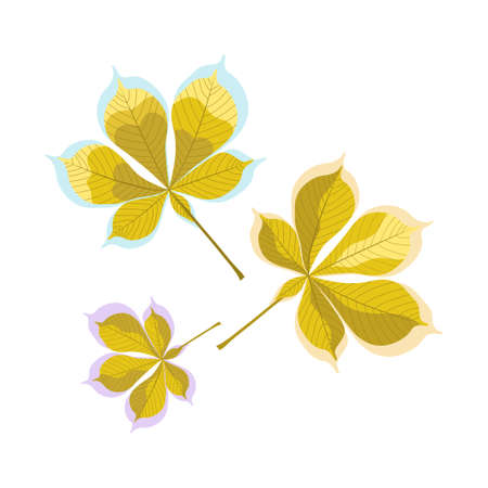 Autumn chestnut leaves isolated on white background. Yellow fall tree leaves flat style vector illustration for card, banner, poster or decor.のイラスト素材