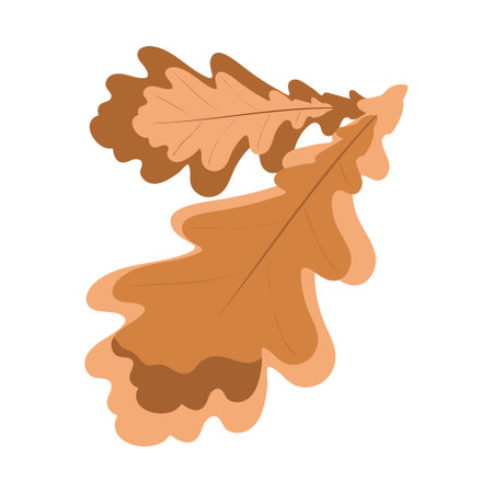 Autumn orange brown oak leaves isolated on white background. Colorful fall tree leaves flat style vector illustration for card, banner, poster or decor.のイラスト素材