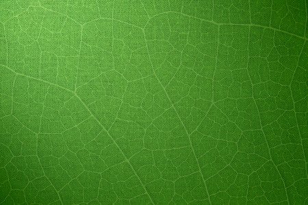 green abstract linen background with leaf pattern textureの写真素材