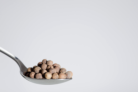 spoon of allspice seed on white background with emty place over and right for textの写真素材
