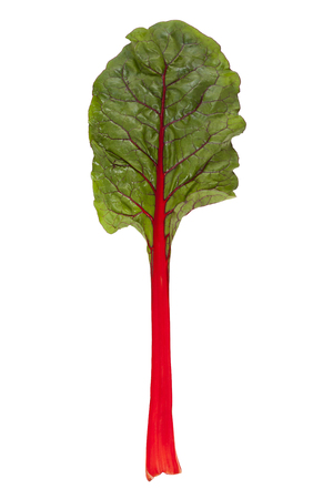 fresh beetroot leaf isolated on white background, organic foodの写真素材