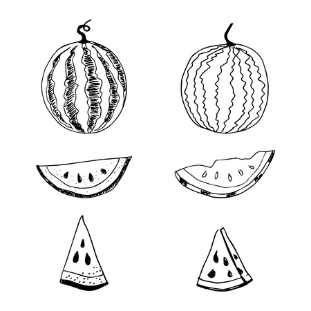 Hand drawn sketch style watermelon set vector illustration isolated on white background. Whole and parts. Farm fresh healthy food fruits. Summer paty symbols concept.のイラスト素材