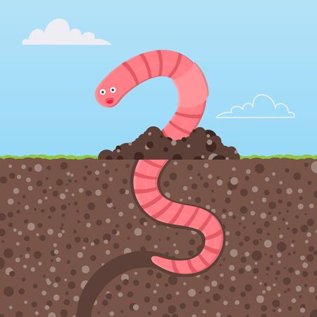 Earthworm cartoon character icon sigh. Worm with face expression smilling pop up above the ground flat style design vector illustration. Crawling animal creature.のイラスト素材