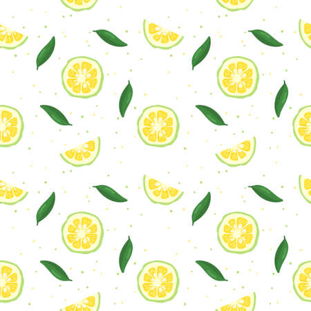 Green yuzu japanese citron fruit seamless pattern vector illustration isolated on white background....