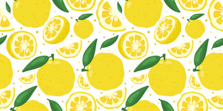 Yuzu japanese citron fruit seamless pattern vector illustration isolated on white background. Full,...