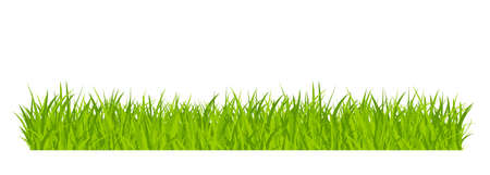 Green grassland lawn field border flat style design vector illustration isolated on white background. Cartoon summer green grass nature landscape field.のイラスト素材