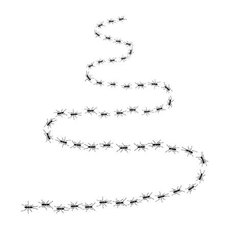 Worker ants trail line flat style design vector illustration isolated on white background. Top view of ants bug road trail marching in the line row. Pest control or insect searching concept.のイラスト素材