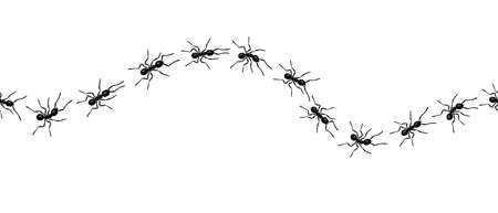 Worker ants trail line flat style design vector illustration isolated on white background. Top view of ants bug road trail marching in the line row. Pest control or insect searching concept.のイラスト素材
