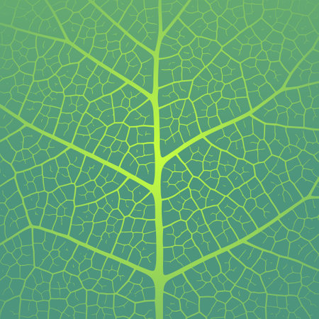 Leaf vein texture abstract background with close up plant leaf cells ornament texture pattern. Black and white organic macro linear pattern of nature leaf foliage vector illustration.のイラスト素材