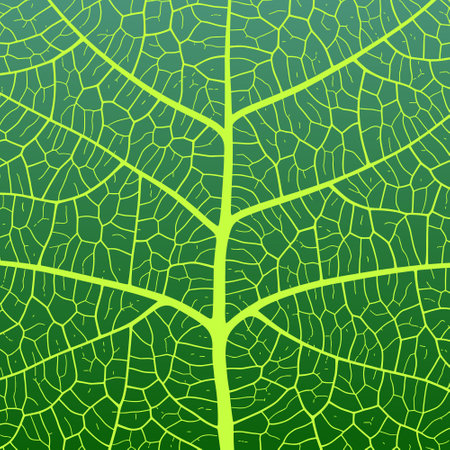 Leaf vein texture abstract background with close up plant leaf cells ornament texture pattern. Black and white organic macro linear pattern of nature leaf foliage vector illustration.のイラスト素材