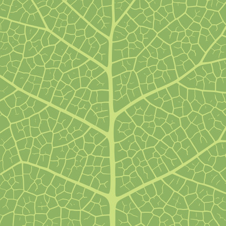 Leaf vein texture abstract background with close up plant leaf cells ornament texture pattern. Green organic macro linear pattern of nature leaf foliage vector illustration.のイラスト素材