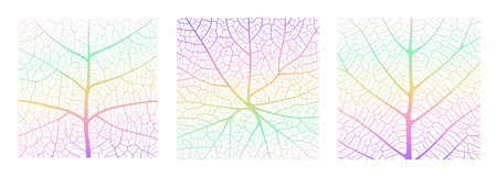 Leaf vein texture abstract background with close up plant leaf cells ornament texture pattern. Gradient organic macro linear pattern of nature leaf foliage vector illustration.のイラスト素材