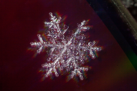 These snowflakes shot in super macro winter frost. Background for christmas gifts and new year, bright winter beautiful snowの写真素材