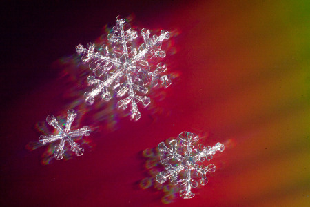 These snowflakes shot in super macro winter frost. Background for christmas gifts and new year, bright winter beautiful snowの写真素材