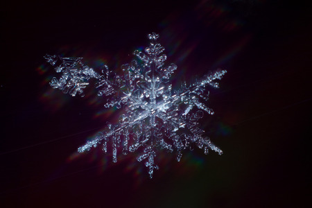 These snowflakes shot in super macro winter frost. Background for christmas gifts and new year, bright winter beautiful snowの写真素材