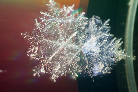 These snowflakes shot in super macro winter frost. Background for christmas gifts and new year, bright winter beautiful snowの写真素材