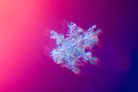 These snowflakes shot in super macro winter frost. Background for christmas gifts and new year, bright winter beautiful snowの写真素材