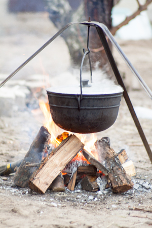metal pot with a meal basking on burning firewood in the forest wildlifeの写真素材