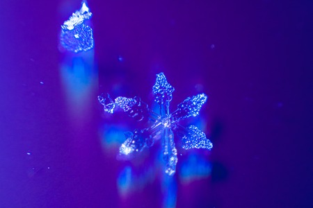 Macro shot from real Snowflake winter snowの写真素材